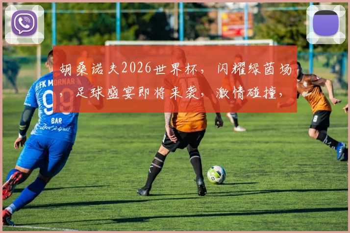 胡桑诺夫2026世界杯，闪耀绿茵场，足球盛宴即将来袭，激情碰撞，谁将问鼎