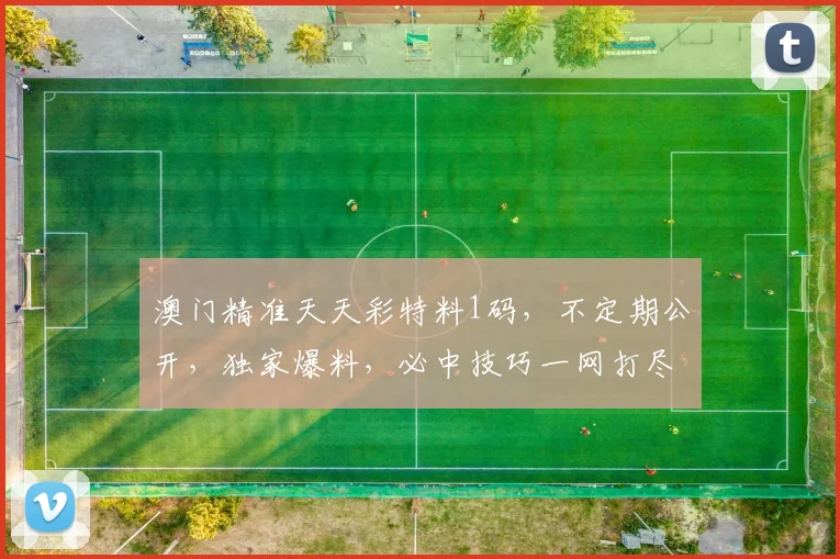 澳门精准天天彩特料1码，不定期公开，独家爆料，必中技巧一网打尽，速来获取