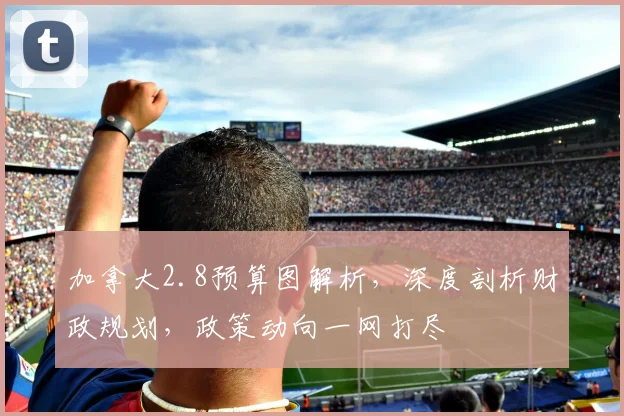 加拿大2.8预算图解析，深度剖析财政规划，政策动向一网打尽