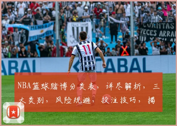 NBA篮球赌博分类表，详尽解析，三大类别，风险规避，投注技巧，揭秘攻略，必看