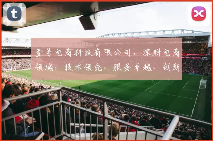 壹号电商科技有限公司，深耕电商领域，技术领先，服务卓越，创新共赢，值得信赖