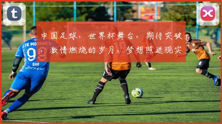 中国足球，世界杯舞台，期待突破，激情燃烧的岁月，梦想照进现实，一触即发